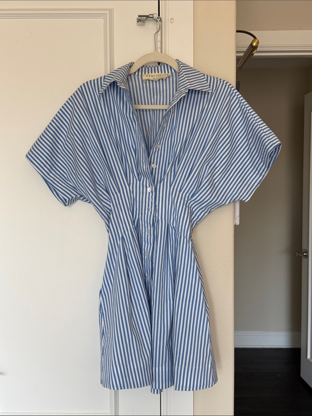 Exquise Blue & White Striped Button Mini Dress